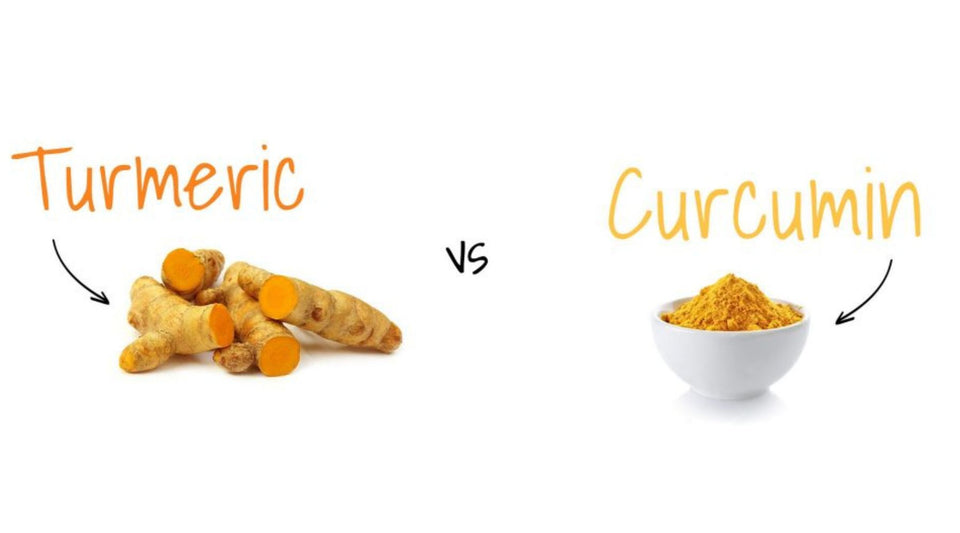 Turmeric vs Curcuma