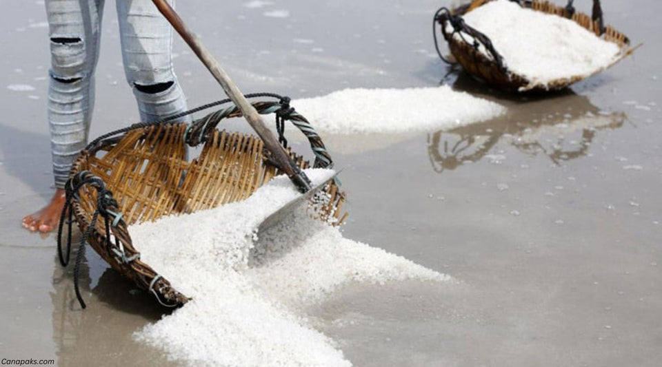 How to Avoid Bulk Salt Shortage In Canada