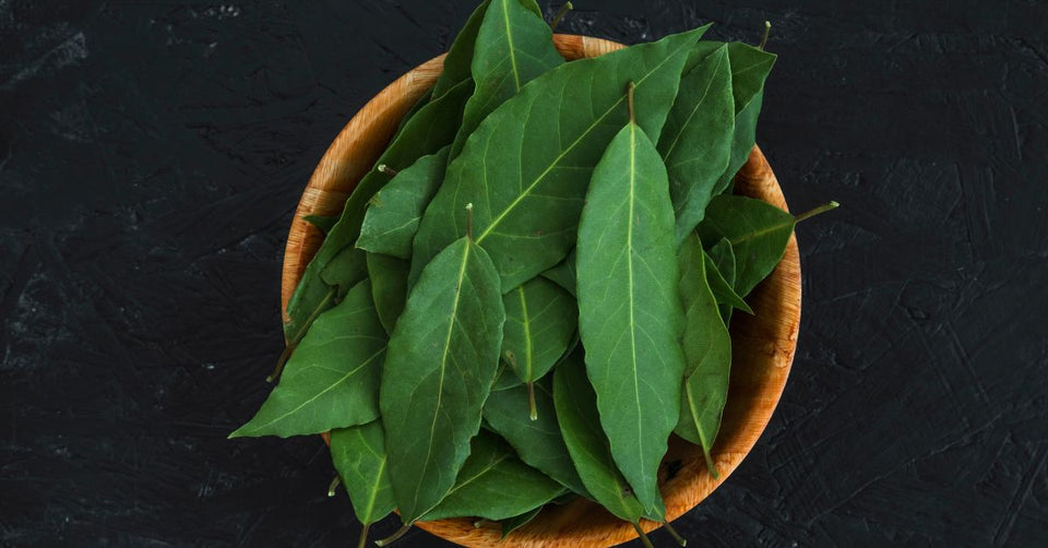 Turmeric Leaves